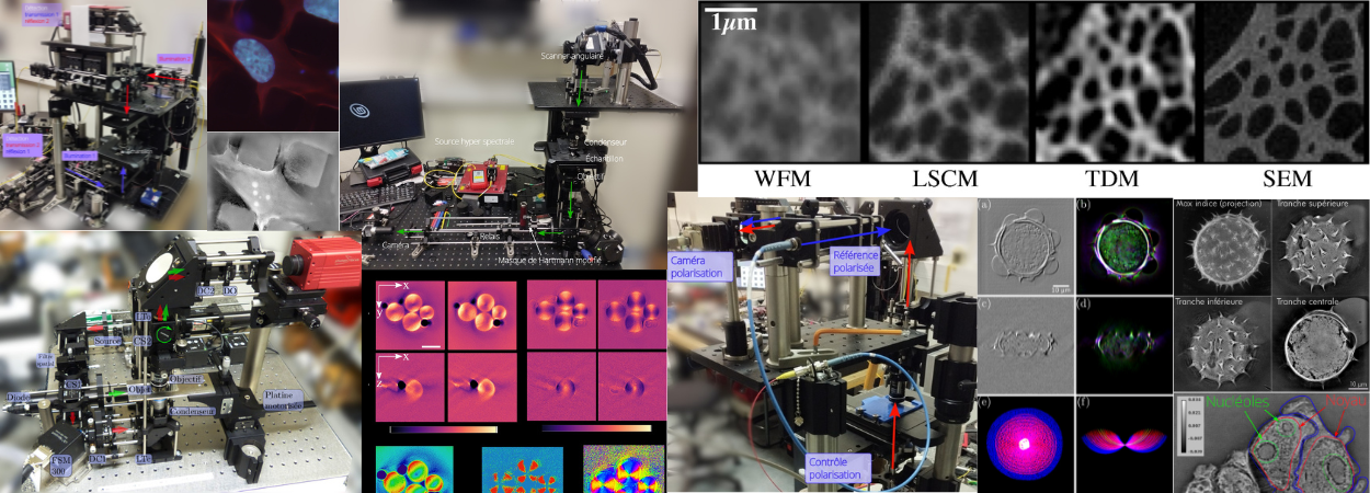 Imagrie microscopique