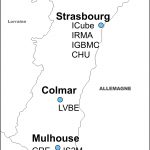 Carte des collaborations en Alsace