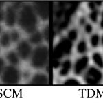 Comparaison de différent modes d'imagerie sur un "lacey carbon" : champ large, confocal (10 passes), TDM et microscopie électronique